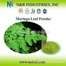 Reliable Supplier Moringa Leaf Powder